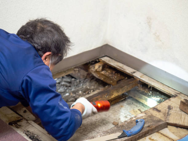 Best Crawl Space Mold Remediation in Eagle Lake, WI