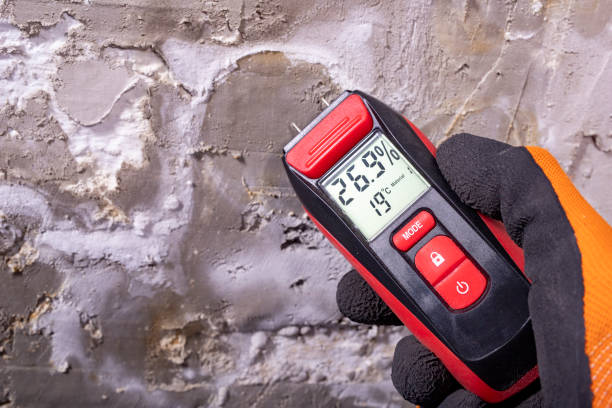 Best HVAC Mold Remediation in Eagle Lake, WI