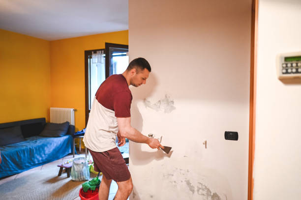 Best Commercial Mold Remediation in Eagle Lake, WI